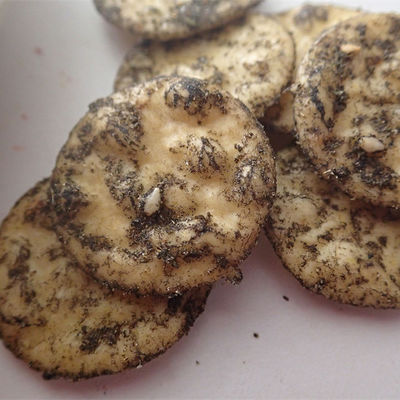 خرید کراکر برنج سنبی با طعم ذرت 5 کیلوگرمی کراکر برنج کنجد سیاه online manufacture