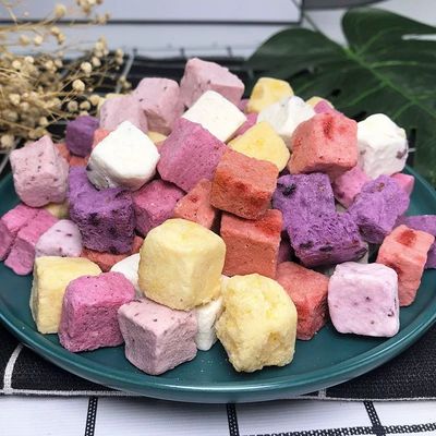 خرید غذاهاي جوگورت فرسوده با طعم خوشمزه با پروتئین بالا طعم ميوه اژدها 25 گرم براي بهبود بعد از ورزش online manufacture