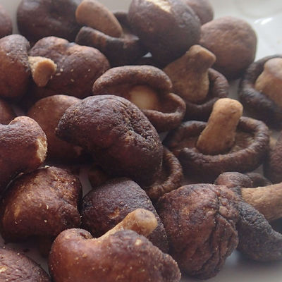 قیمت خوب جاروبرقی مینی قارچ خشک شده برای زنان باردار کودکان رنگ اضافه نمی کند آنلاین