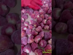 ترکیبات تازه توت فرنگی خشک شده ی یخچال