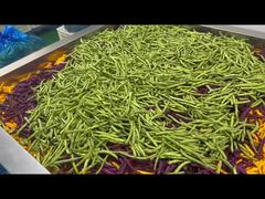 مخلوط سبزیجات خشک شده بدون شکر یا مواد نگهدارنده اضافه شده